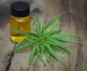 cannabis thérapeutique en France