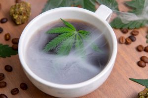 infusion au CBD